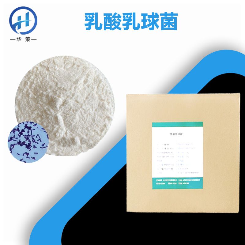 乳酸乳球菌厂家