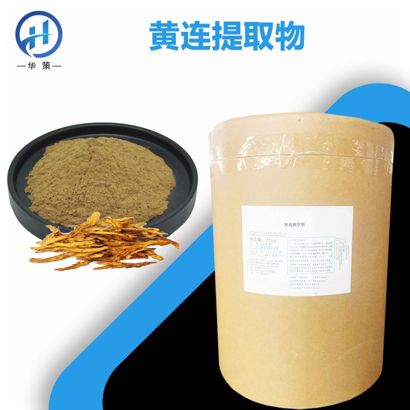 黄连提取物厂家
