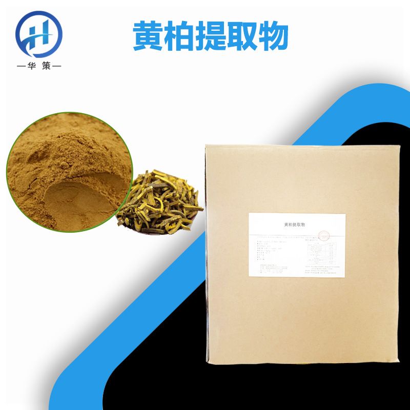 黄柏提取物厂家