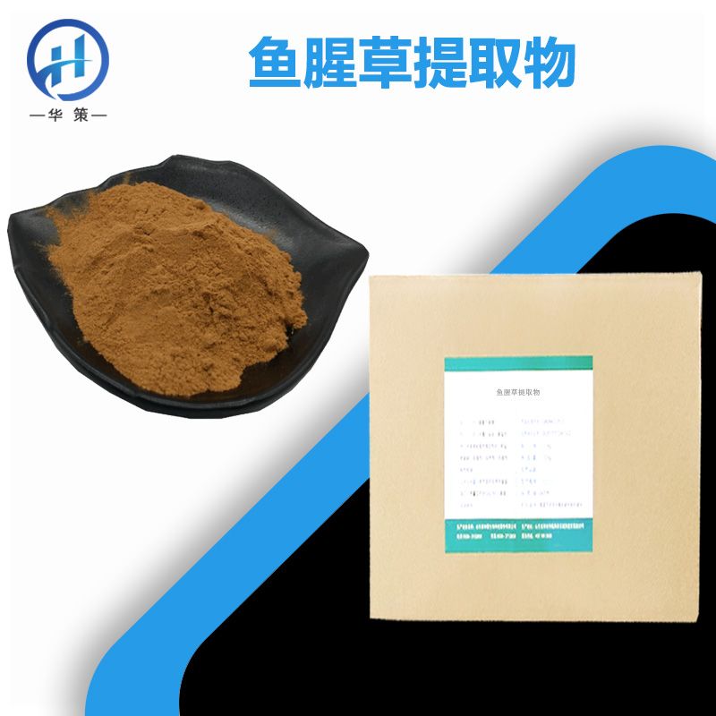 鱼腥草提取物厂家