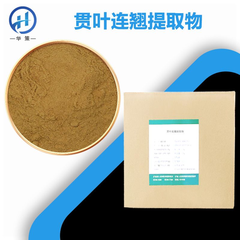 贯叶连翘提取物厂家