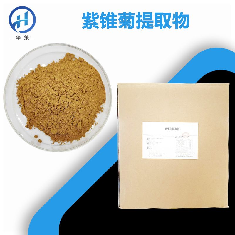紫锥菊提取物厂家