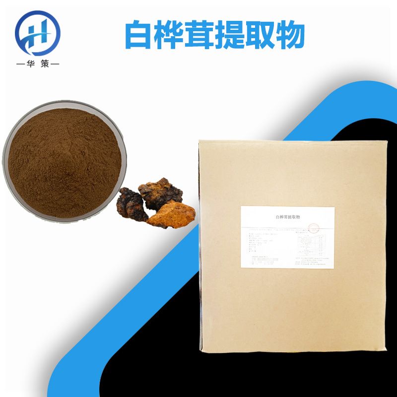 白桦茸提取物厂家