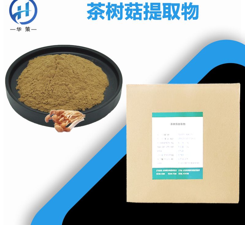 茶树菇提取物厂家