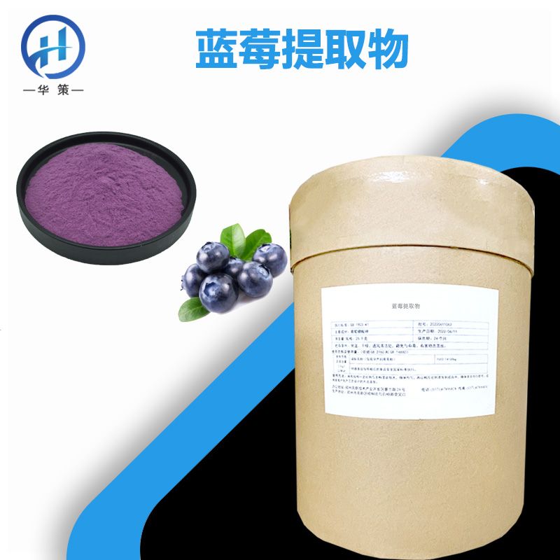 蓝莓提取物厂家