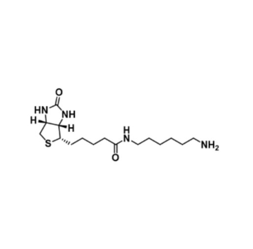 65953-56-2，Biotin-C6-amine，生物素-C6-氨基