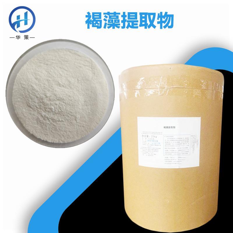褐藻提取物.jpg