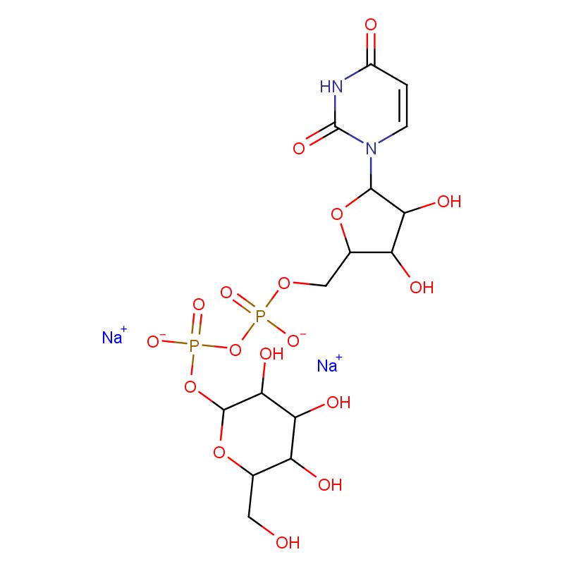 2956-16-3；UDP-半乳糖；UDP-ALPHA-D-GALACTOSE DISODIUM SALT