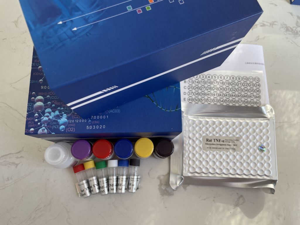 人糖原合成酶激酶3β(GSK3β）ELISA试剂盒