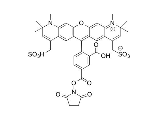 AZDye 594 NHS Ester；AZDye 594 琥珀酰亚胺酯