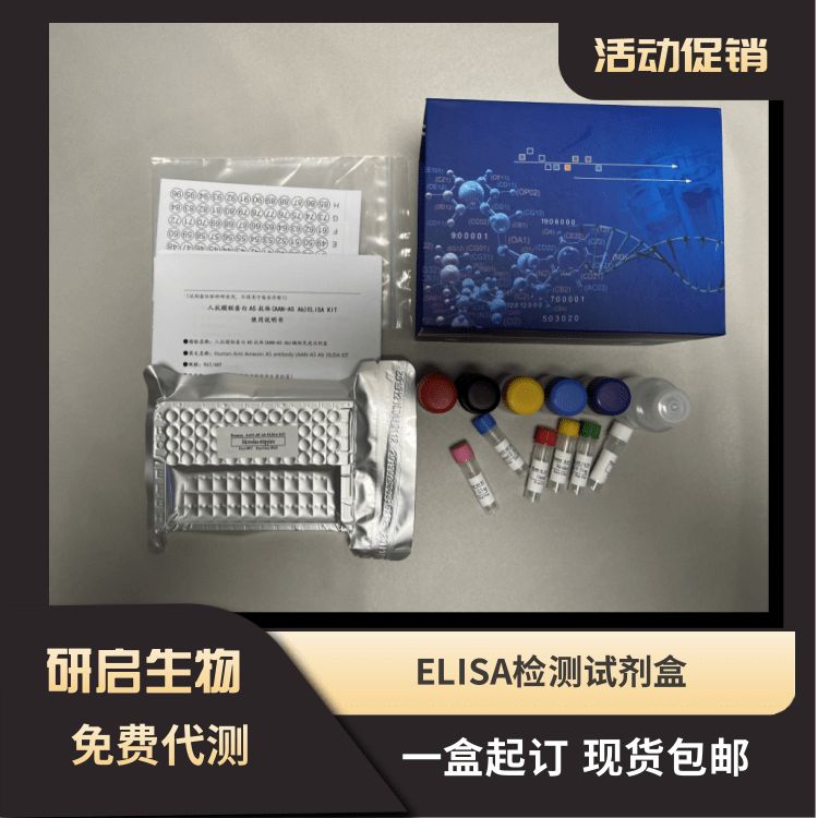 人细胞角蛋白21-1片段(CYFRA21-1）ELISA试剂盒