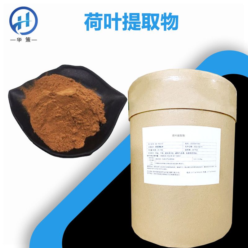 荷叶提取物厂家