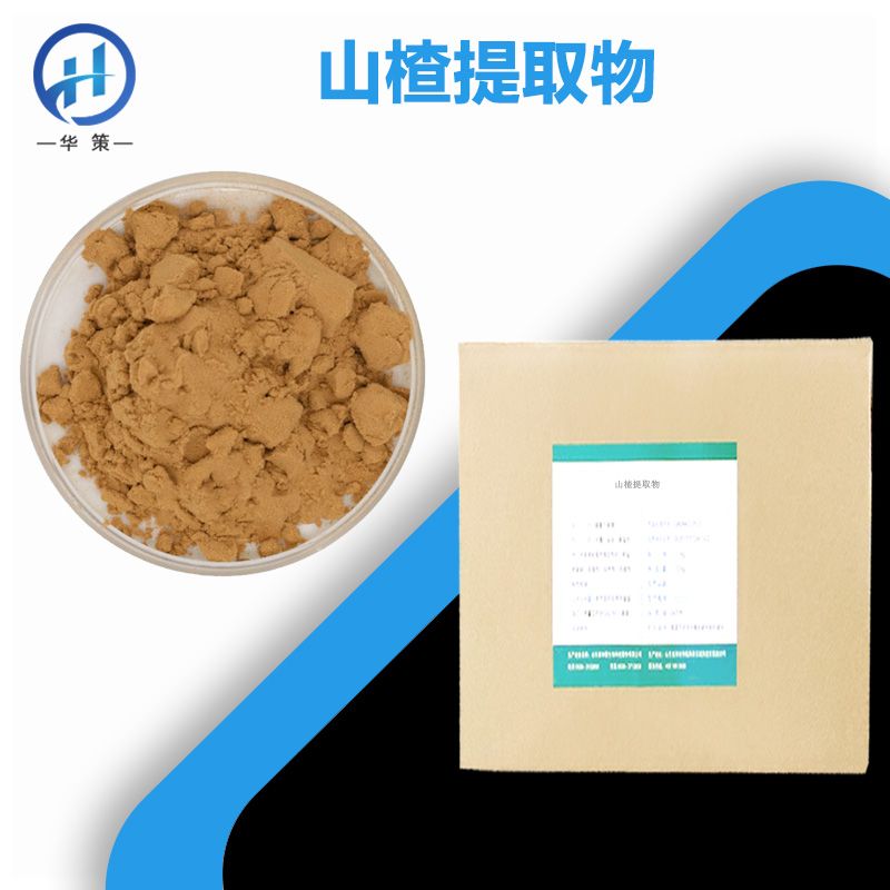 山楂提取物厂家