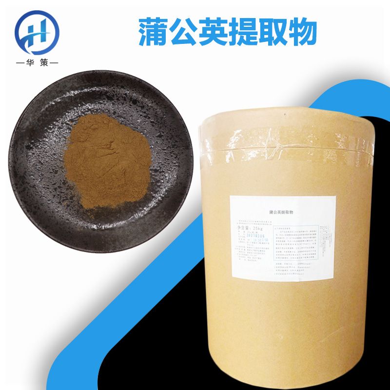 蒲公英提取物厂家