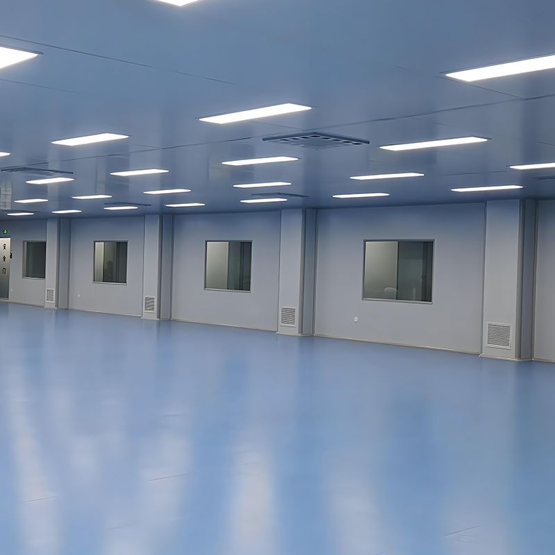 酸枣仁提取物厂家