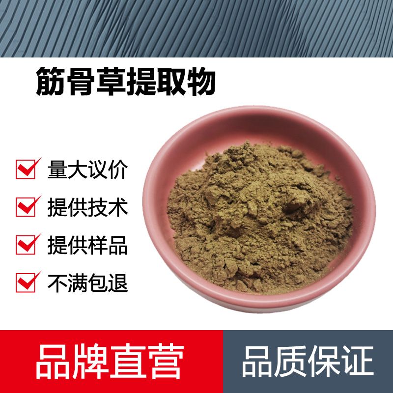 筋骨草提取物厂家