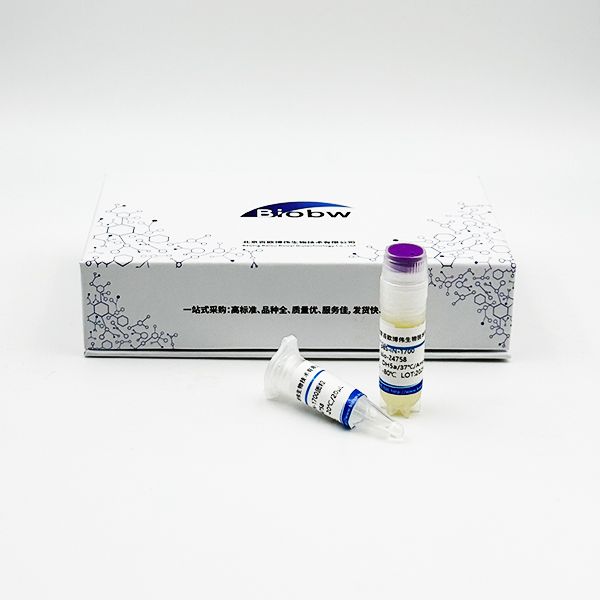 Kushneria indalinina