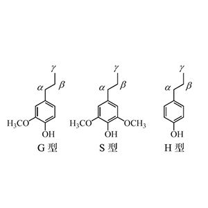 天然高分子材料木质素