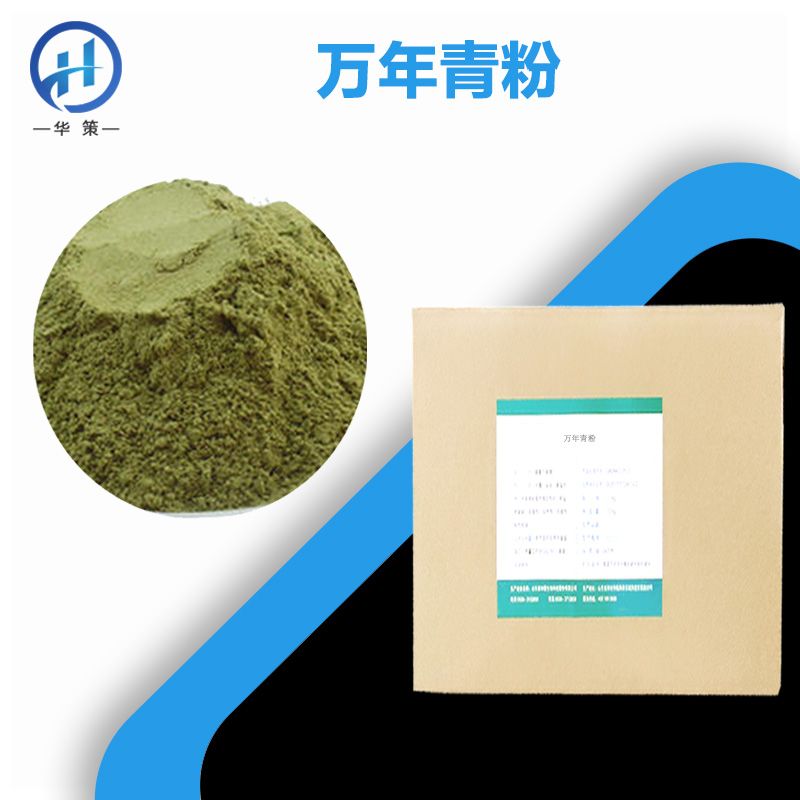 万年青粉厂家