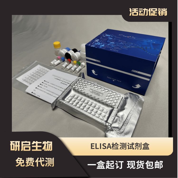 人腺苷酸环化酶(AC）ELISA试剂盒