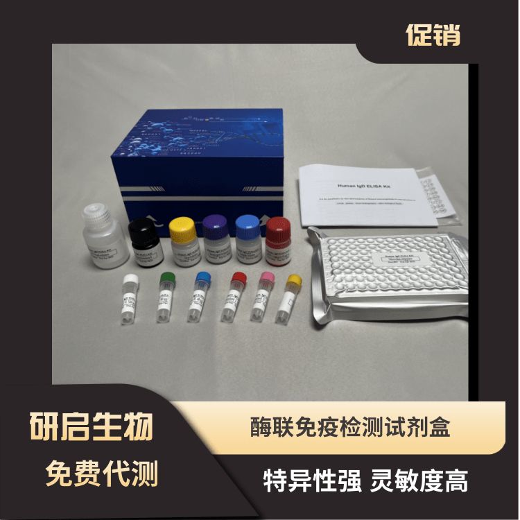 人信号感应增殖相关蛋白1(SPA-1;SIPA-1）ELISA试剂盒