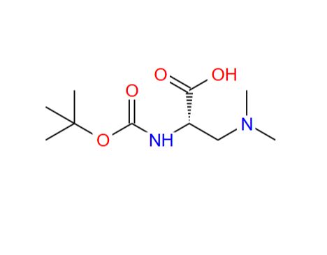 N-Boc-3-二甲基氨基-L-丙氨酸；94778-71-9；