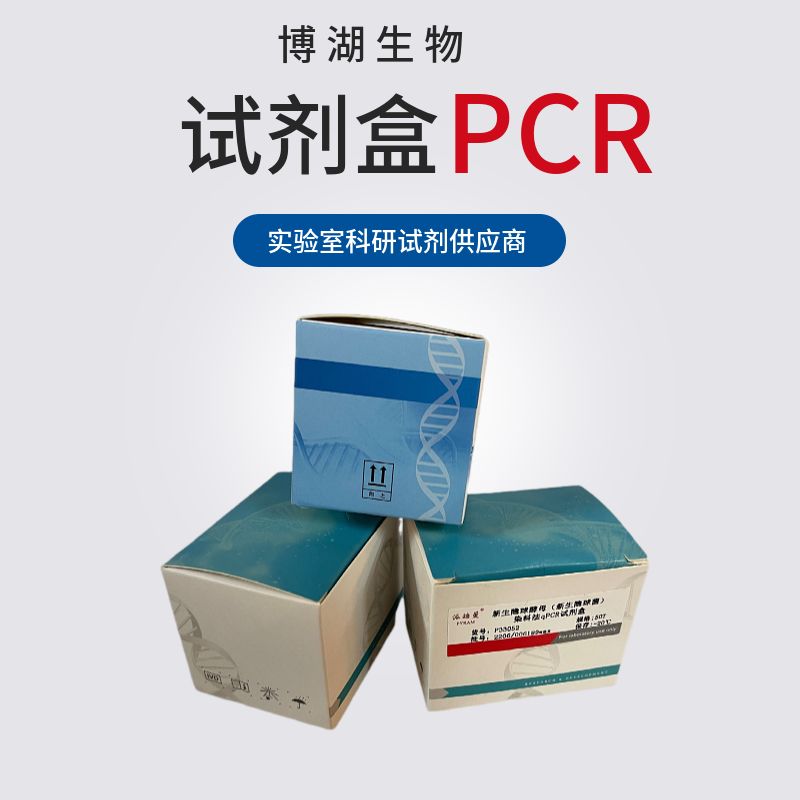 超级多重荧光定量PCR试剂盒（探针）