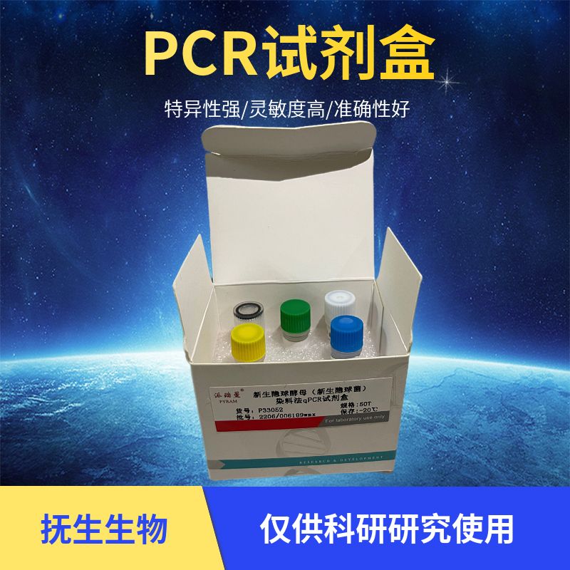 HotStart SD DNA Polymerase (10U/ul)