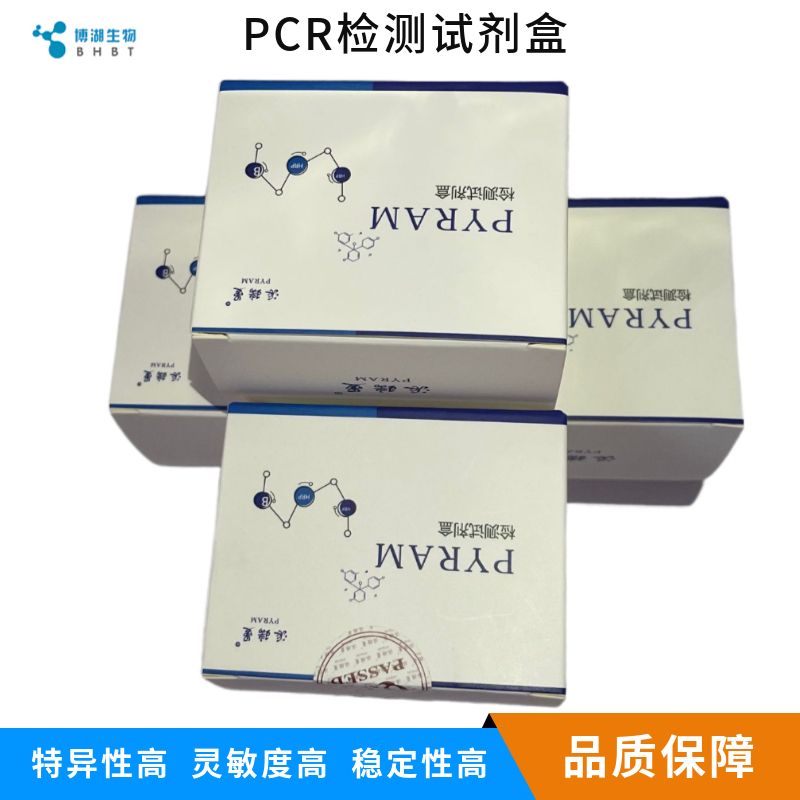 快速DNA提取试剂盒(带证，煮沸法)