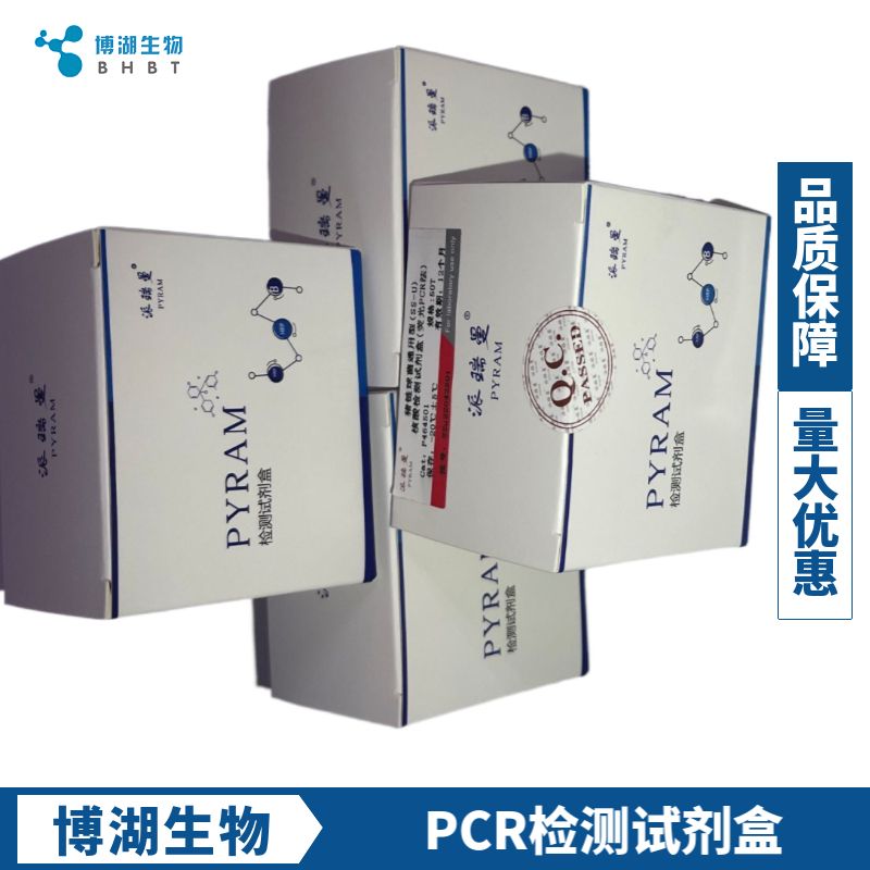 LAMP Loop DP-Probe (订制品)