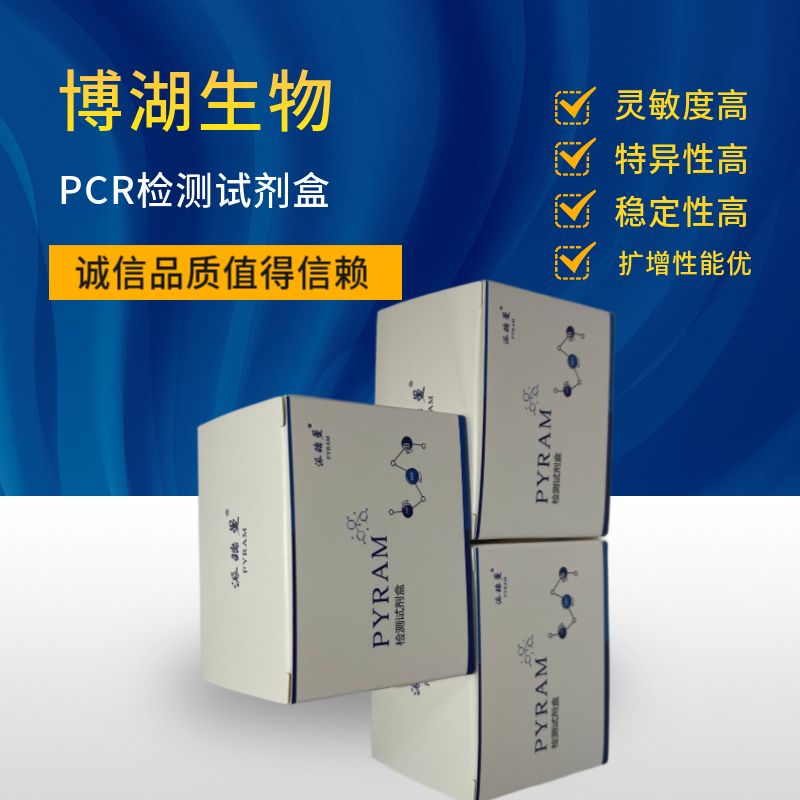 BCA Protein Assay Kit