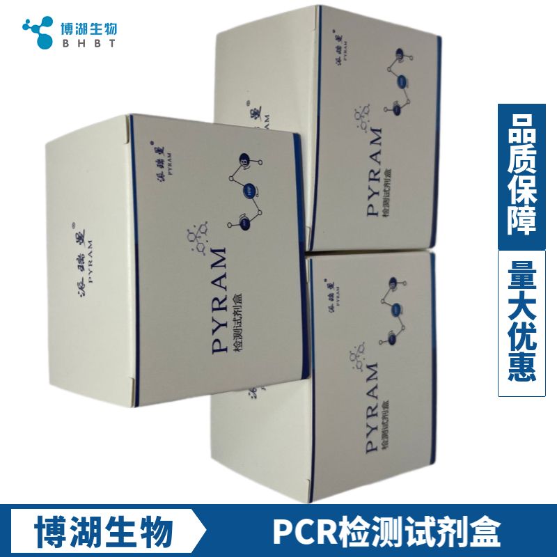 外泌体RNA提取试剂盒