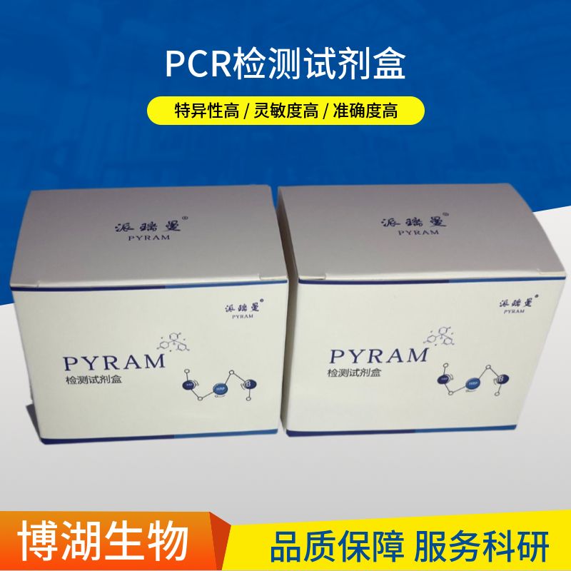 EasyMut gene multisite mutagenesis kit（多点突变试剂盒）