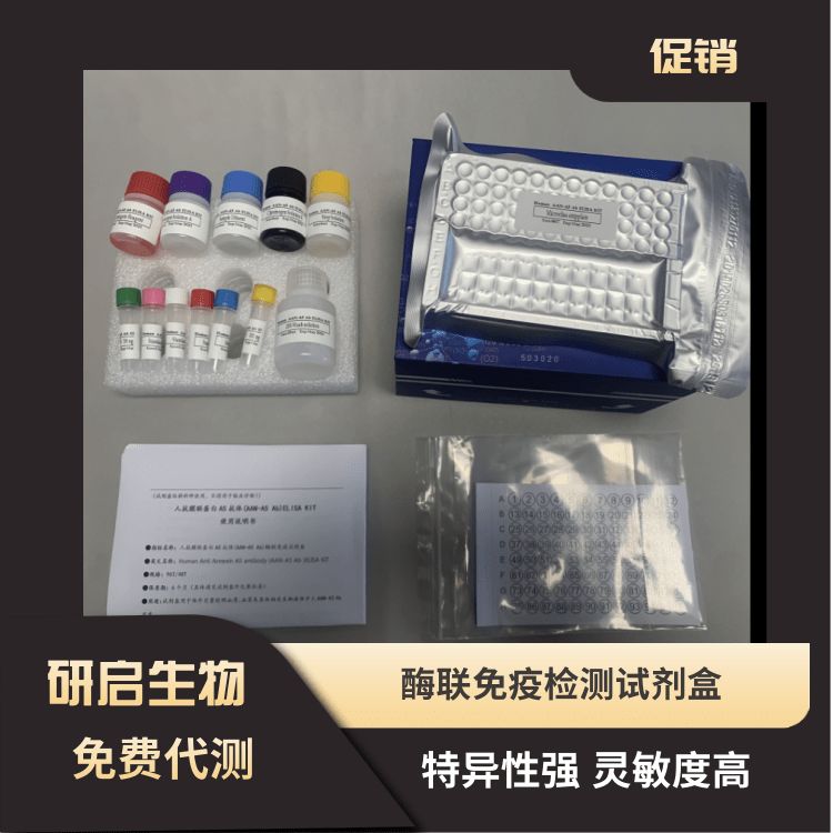 人载脂蛋白E4(ApoE4）ELISA试剂盒