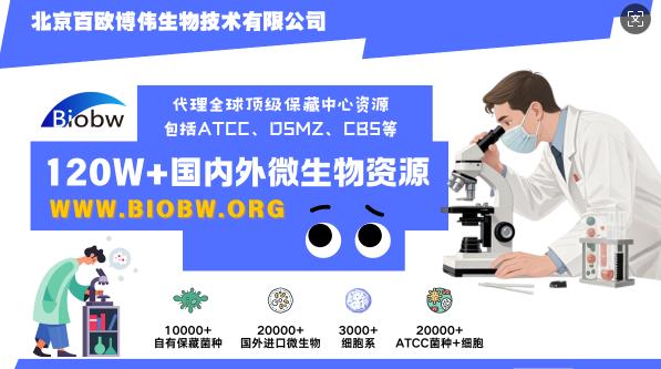 A企业微信截图_17619779096086.png
