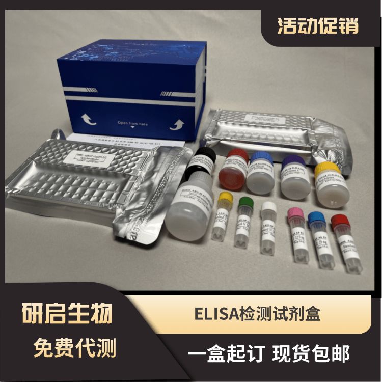 人中性粒细胞防御素1-3(HNP1-3）ELISA试剂盒