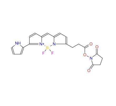BDP 576/589-琥珀酰亚胺酯；201998-61-0；