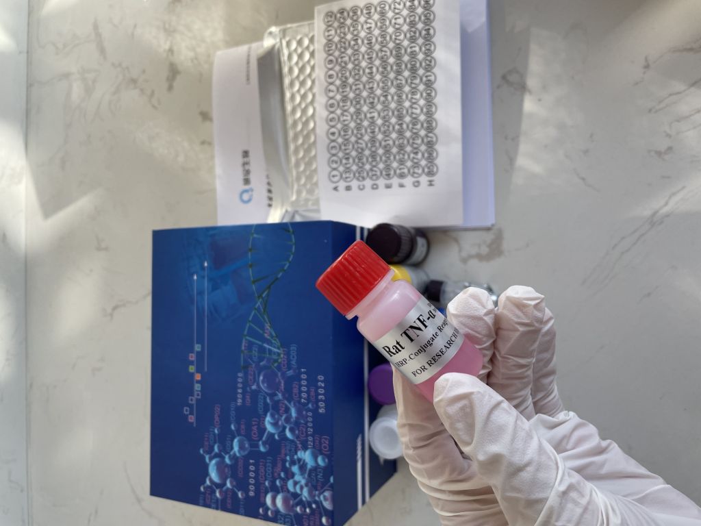 人肿瘤坏死因子相关凋亡诱导配体2(TRAIL-R2）ELISA试剂盒