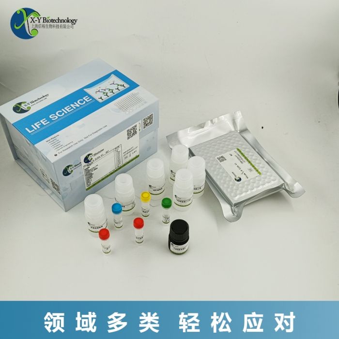 小鼠Rnaset2(核糖核酸酶T2)ELISA试剂盒