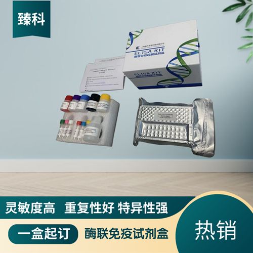 人核因子κB受体活化剂配体(RANKL）elisa测定试剂盒