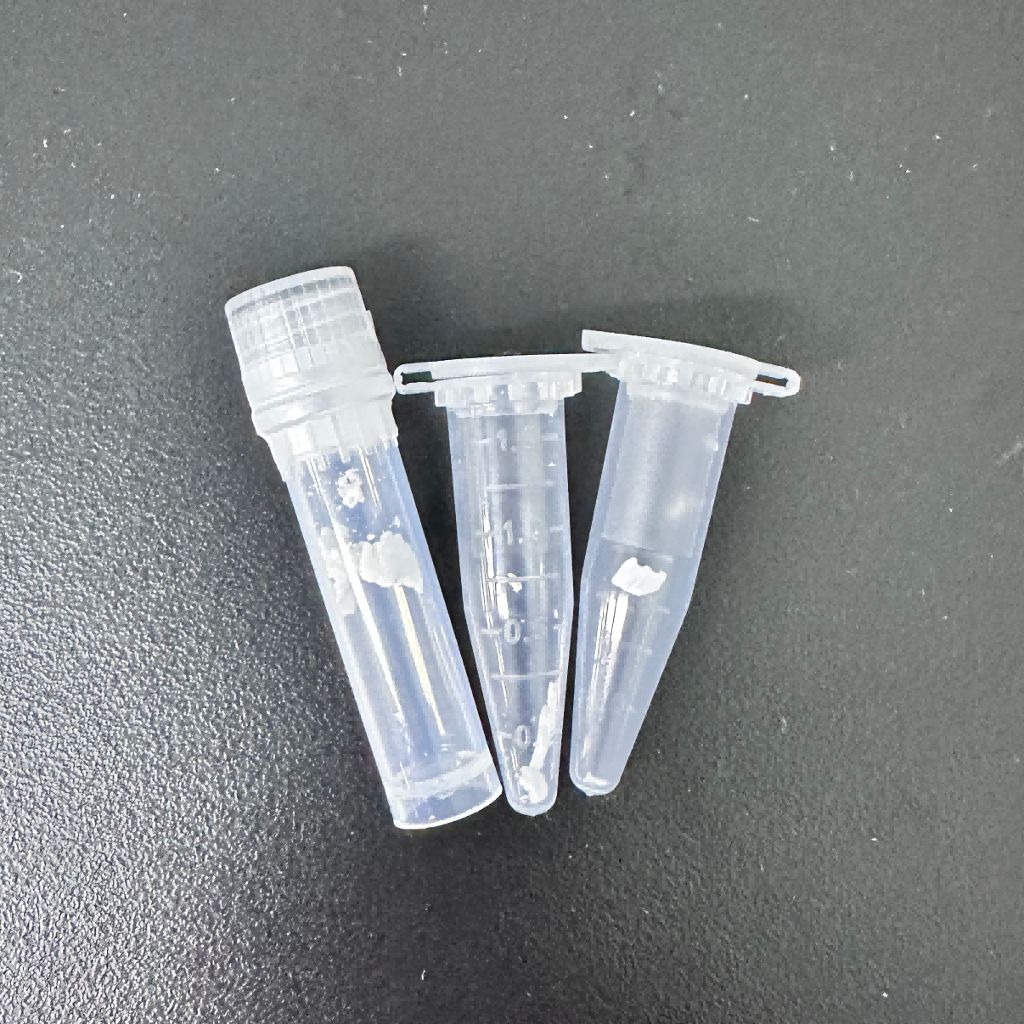 人胰高血糖素样肽-1