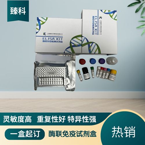 人环孢素A(CsA）elisa检试剂盒