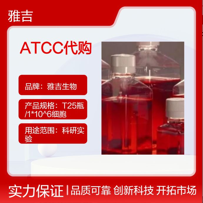 人结肠直肠腺癌细胞NCIH508