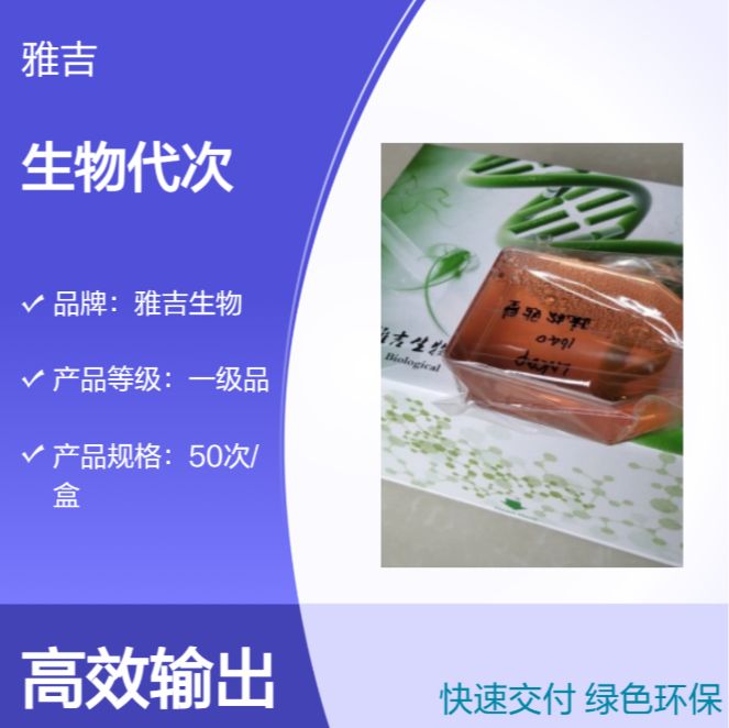 人膀胱癌细胞TCCSUP（STR）