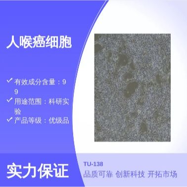 人卵巢颗粒肿瘤细胞COV434