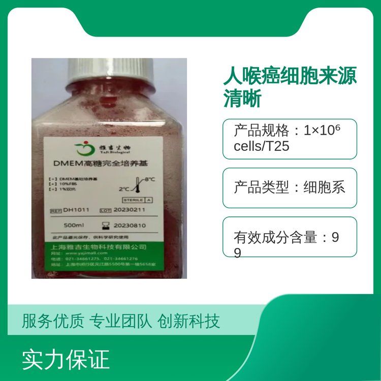 人肺鳞癌细胞NCIH2170（STR）