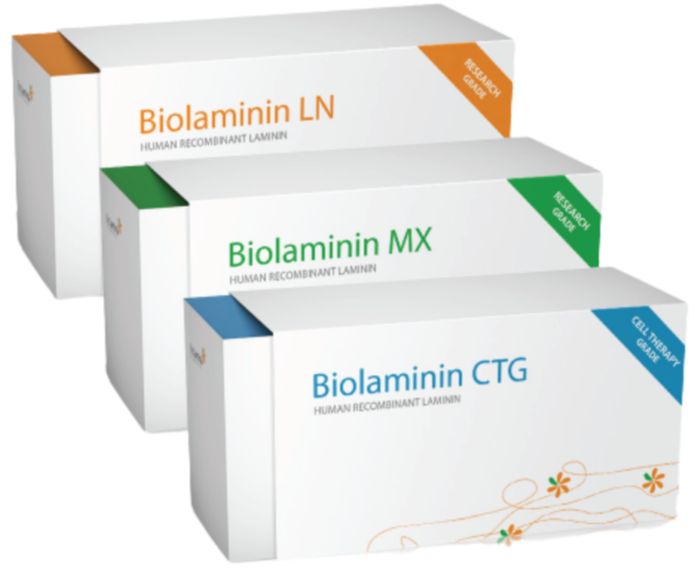 BioLamina人重组层粘连蛋白521｜LN521-05｜曼博生物直售