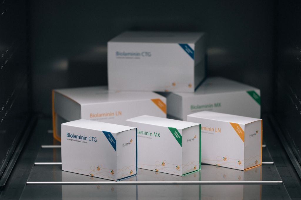 BioLamina人重组层粘连蛋白521｜LN521-05｜曼博生物直售