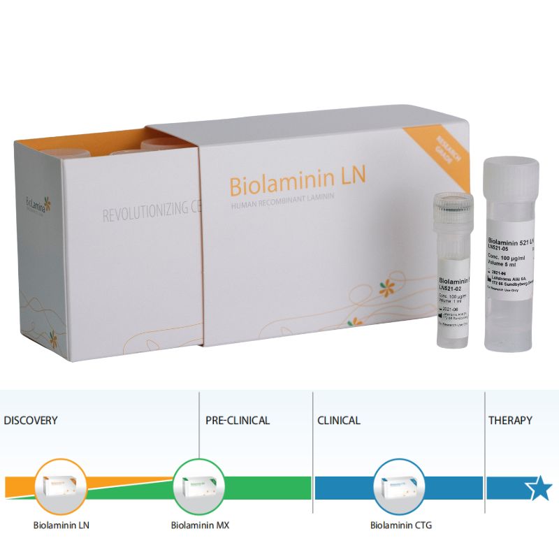 BioLamina人重组层粘连蛋白521｜LN521-05｜曼博生物直售