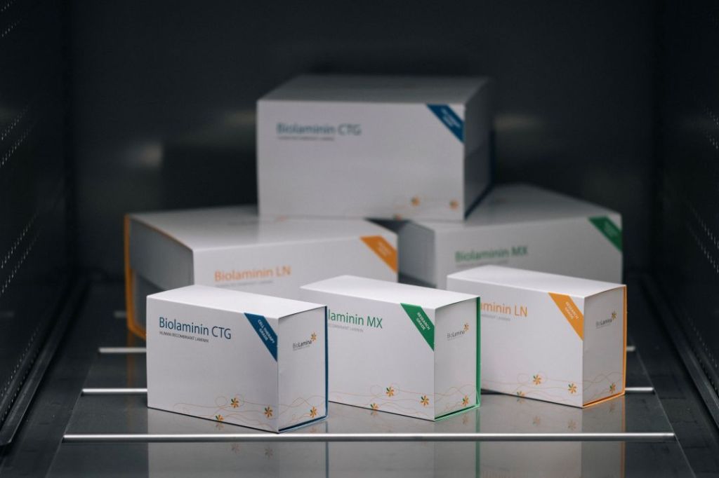 BioLamina人重组层粘连蛋白111｜LN111-02｜曼博生物直售